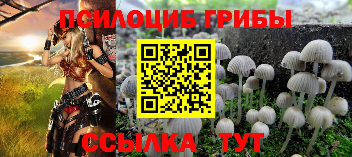 Галлюциногенные грибы Cubensis Минусинск