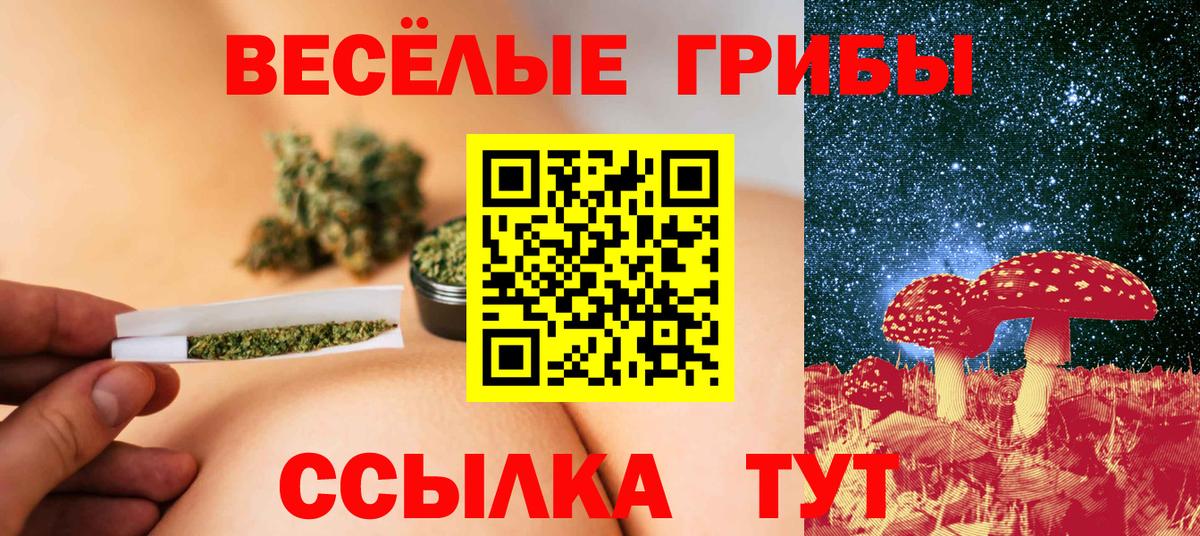 Минусинск  Псилоцибиновые грибы Psilocybe  Псилоцибиновые грибы Psilocybine cubensis  Вход с VPN 